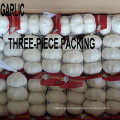 garlic price shandong fresh garlic chinese garlic